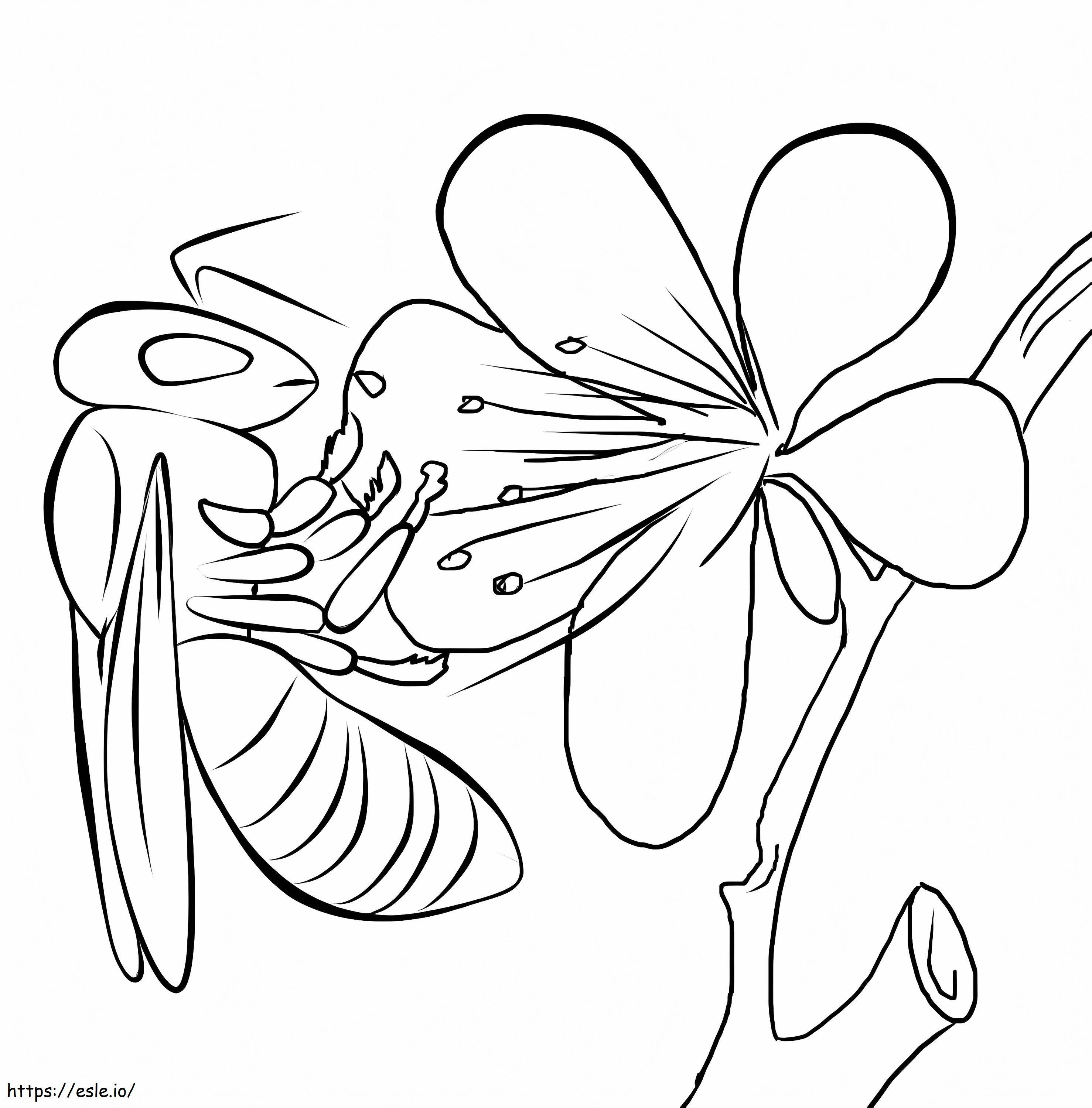 Basic Bee With Flower coloring page