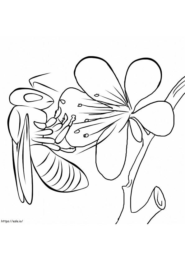 Einfache Biene mit Blume ausmalbilder