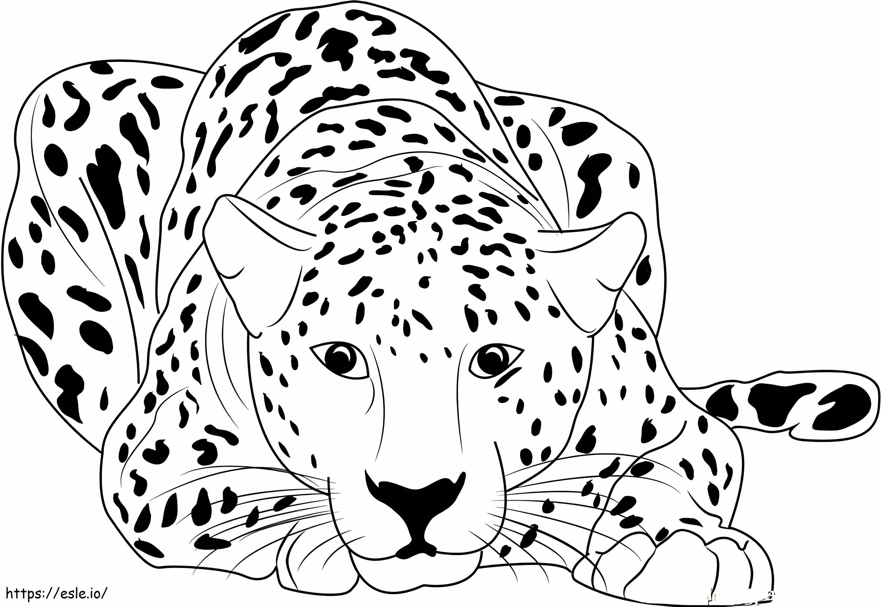 Cheetah Lying coloring page