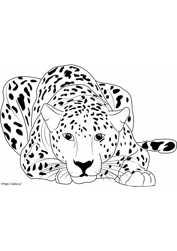 Cheetah liegt kleurplaat