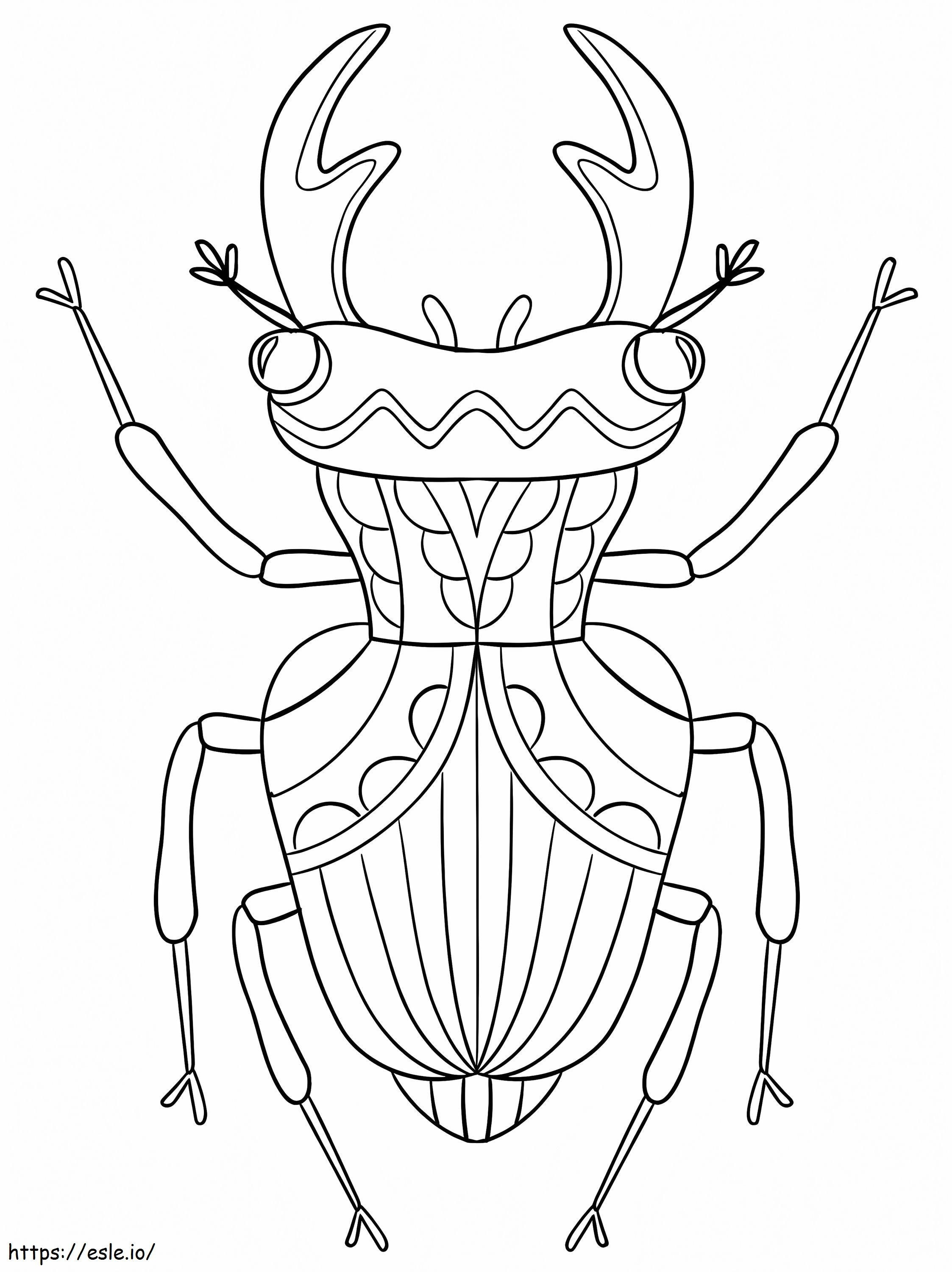 Bello scarabeo da colorare