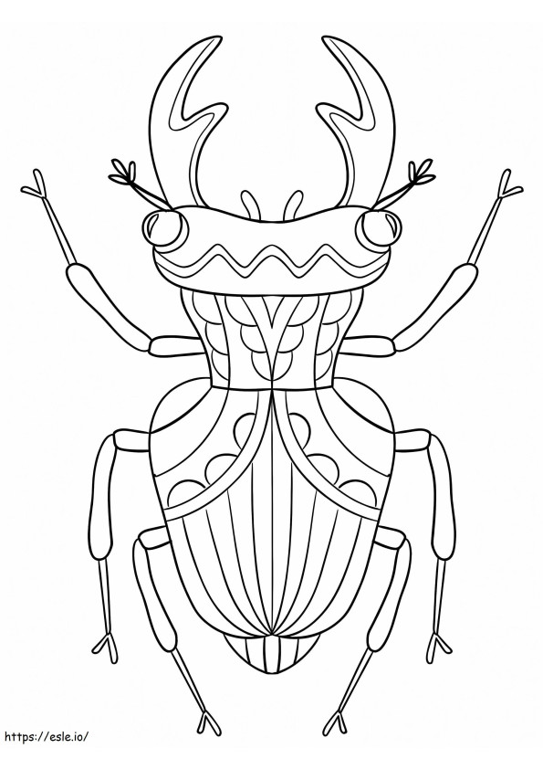 Coloriage Joli coléoptère à imprimer dessin