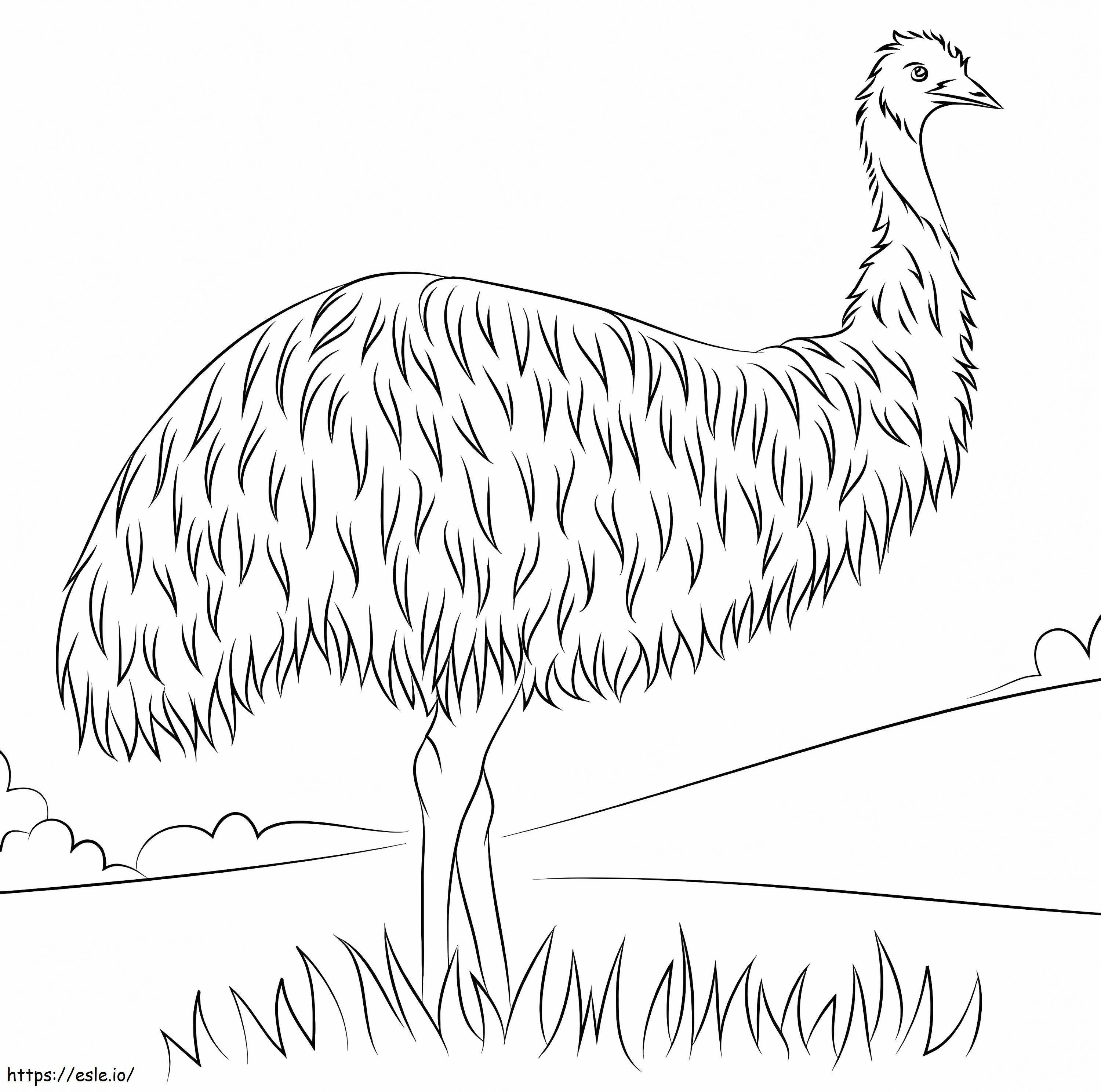 Emú salvaje para colorear