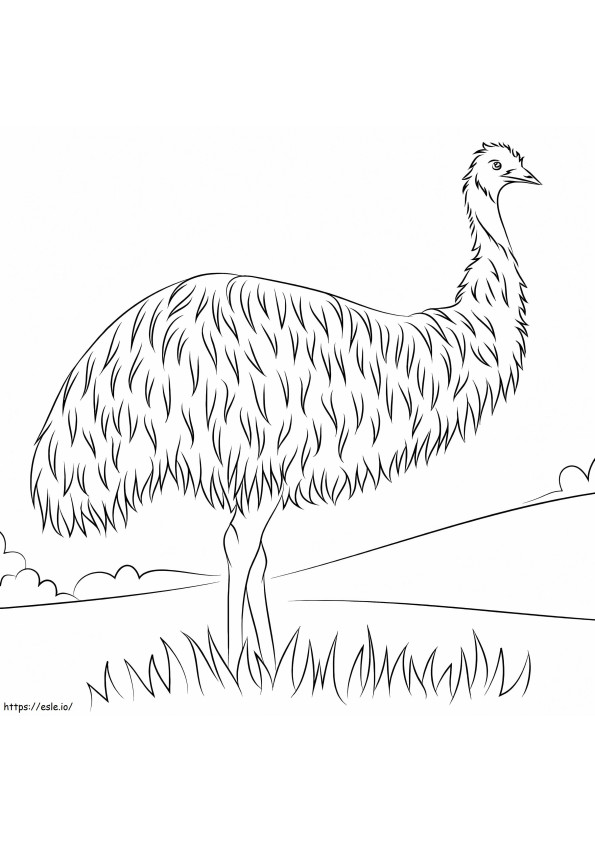 Wild Emu coloring page
