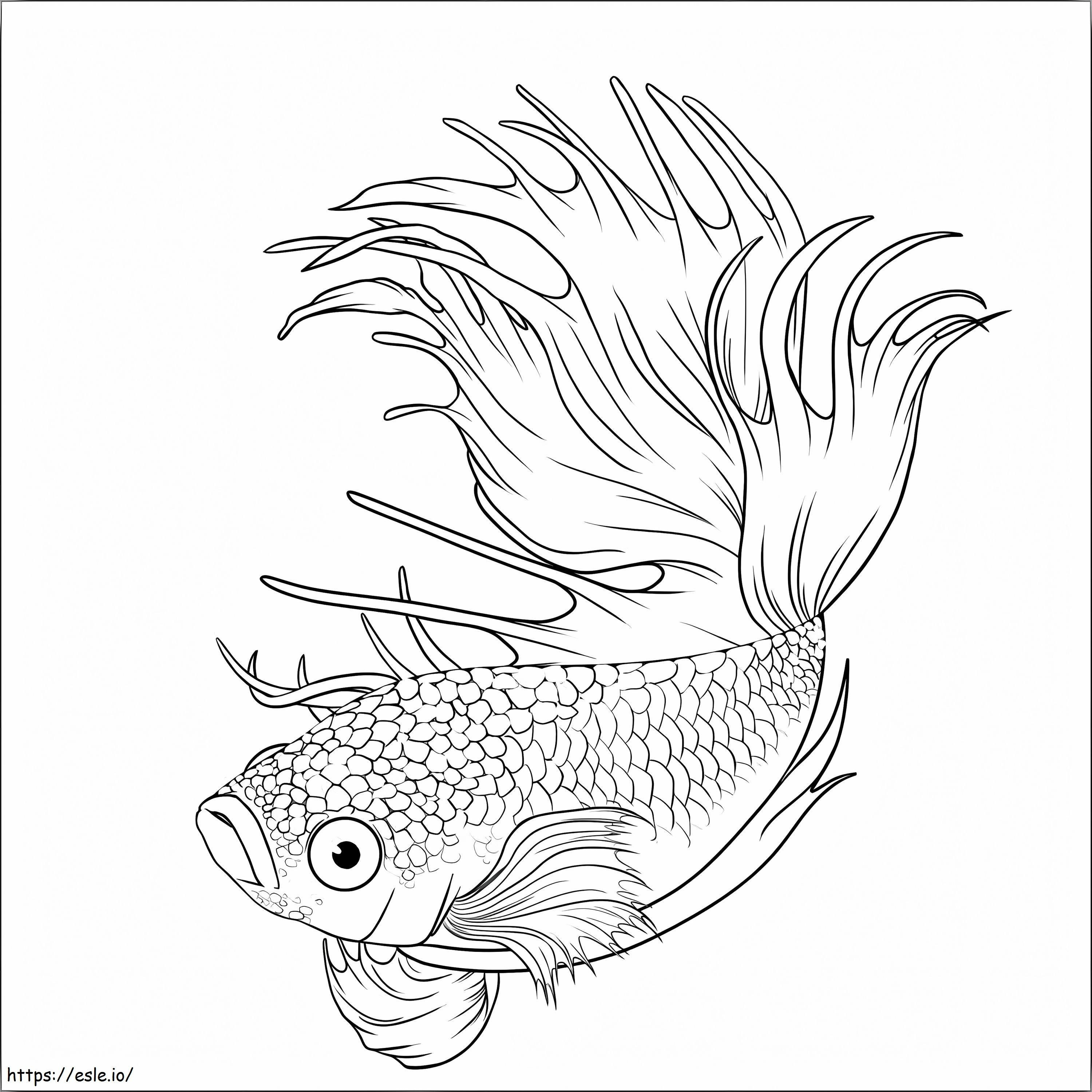 Free Fish coloring page