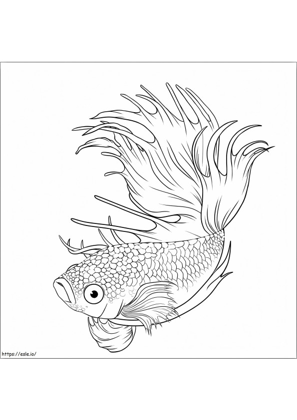 Free Fish coloring page