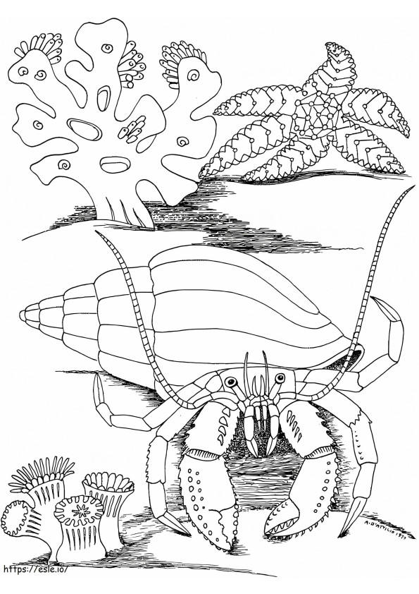 Caranguejo Eremita E Estrela De Peixe para colorir