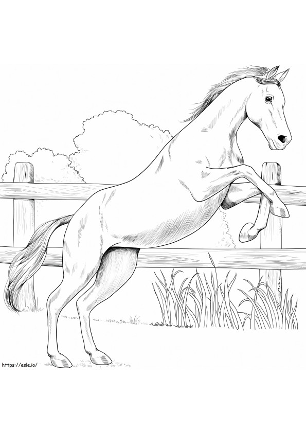 Cavalo Anglo Árabe para colorir
