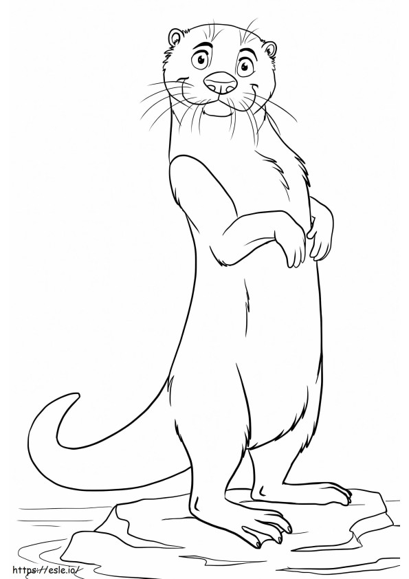 Nutria De Pie