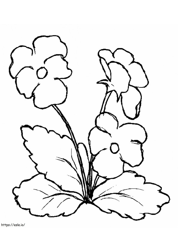 Pansy Printable coloring page
