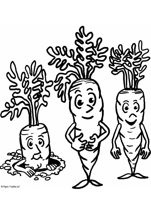 Carrot Family