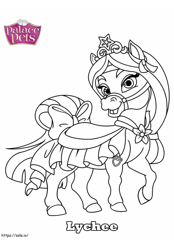 1587025705 Palace Pets Lychee coloring page