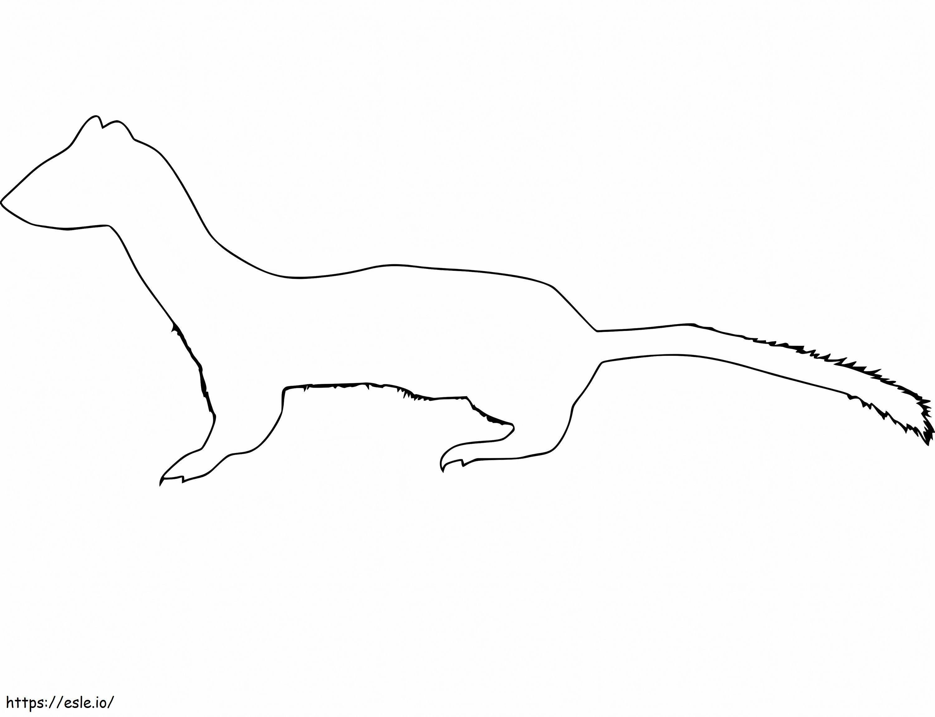 Weasel 8 coloring page