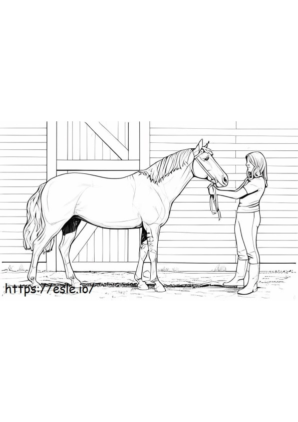Woman And Horse Mare coloring page