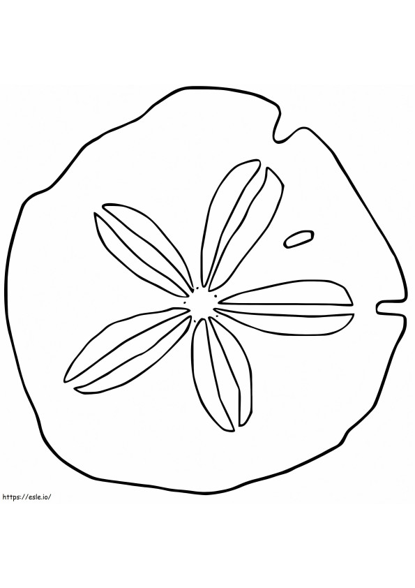 Sand Dollar 3 coloring page