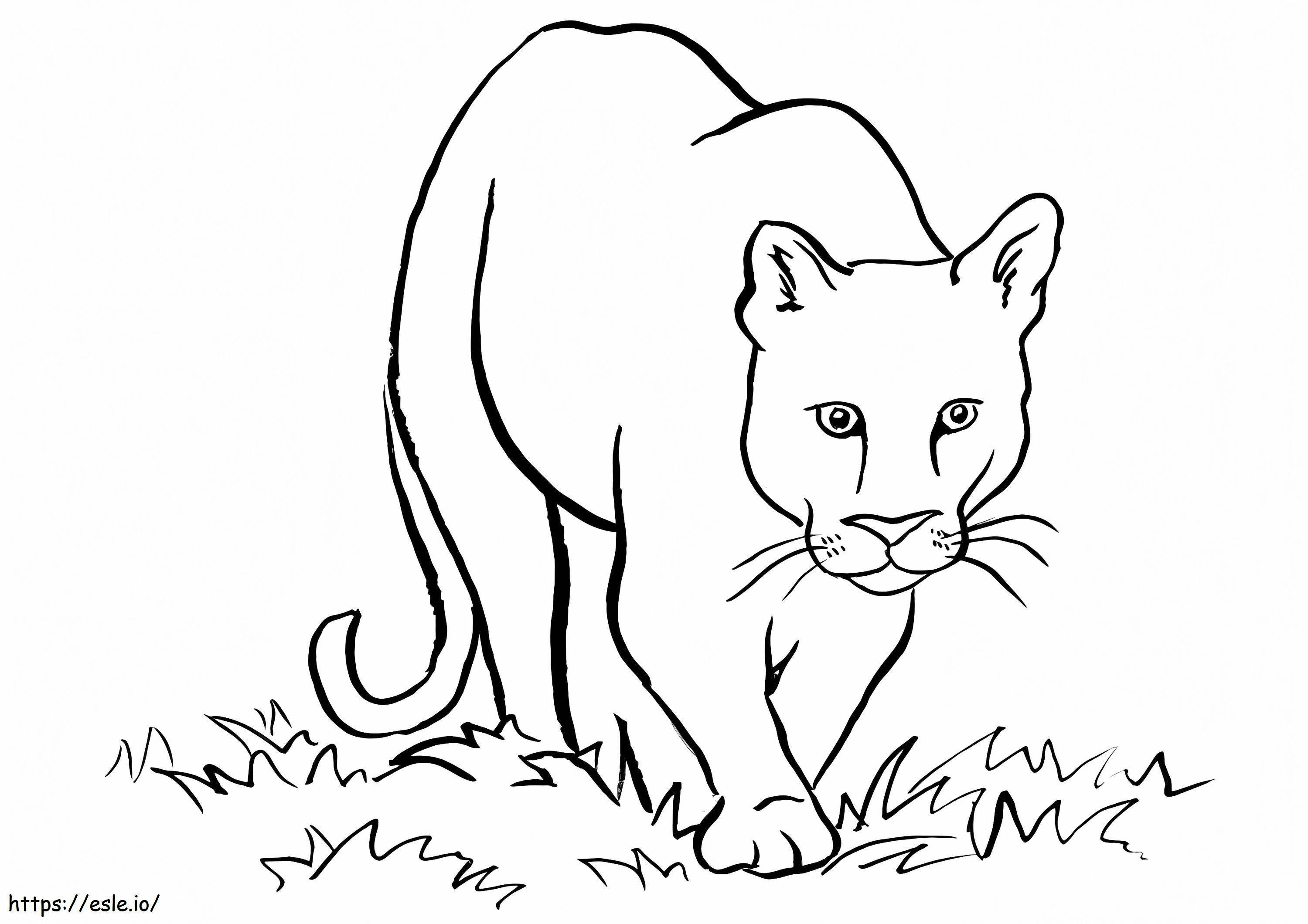 1526460081 Southern South American Cougar A4 E1600823179874 coloring page