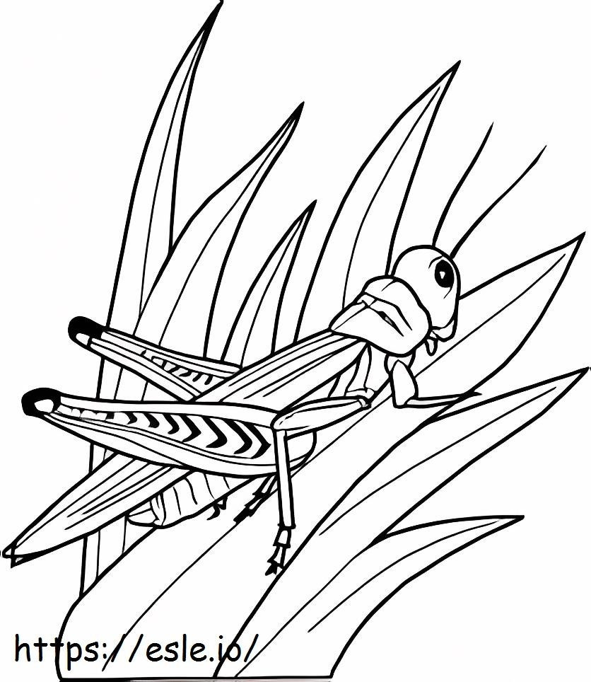 Grasshopper On Grass coloring page