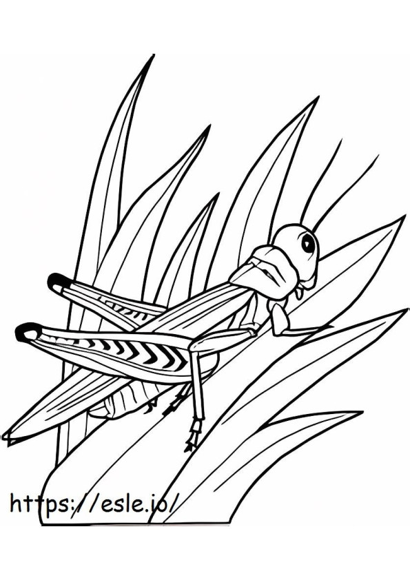 Grasshopper On Grass coloring page