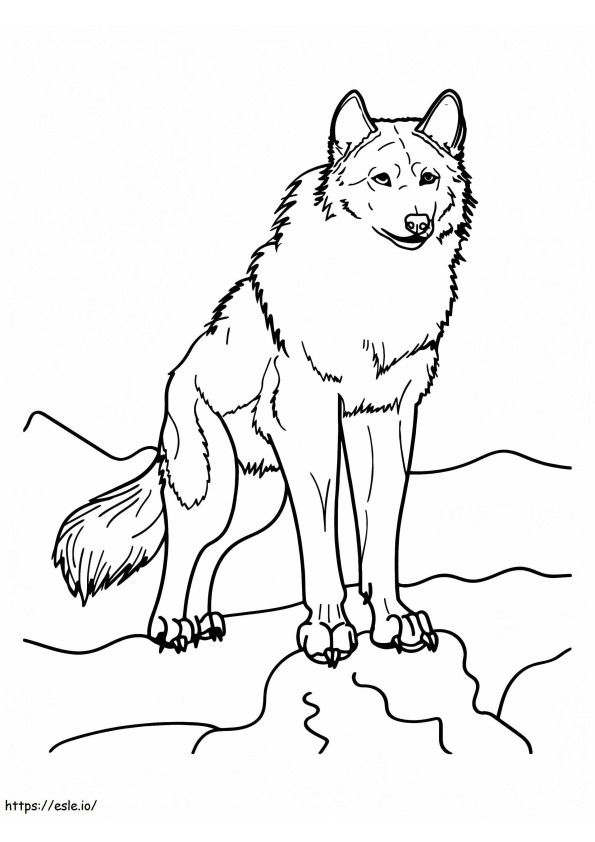 Hewan Serigala Arktik yang Penuh Perhatian Gambar Mewarnai