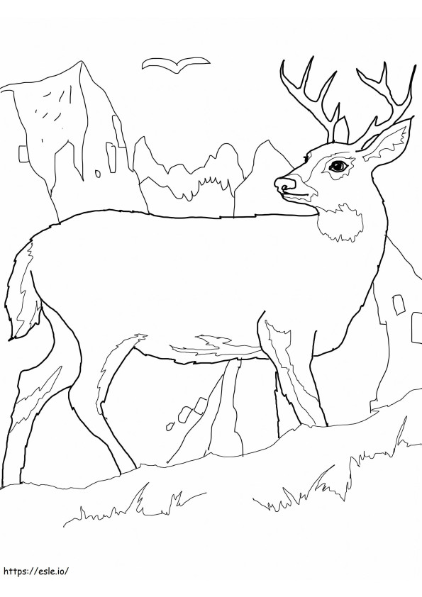 Rusa Berjalan