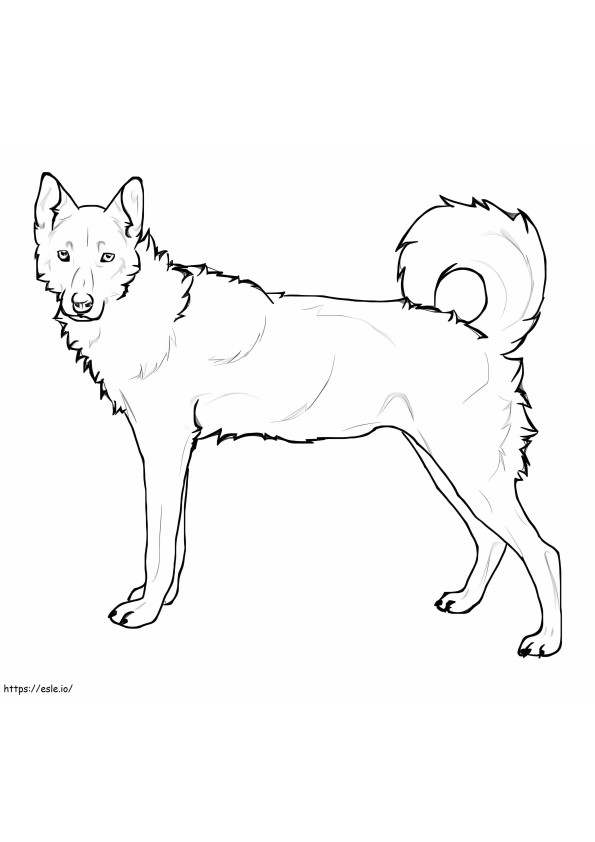 Standing Siberian Husky coloring page