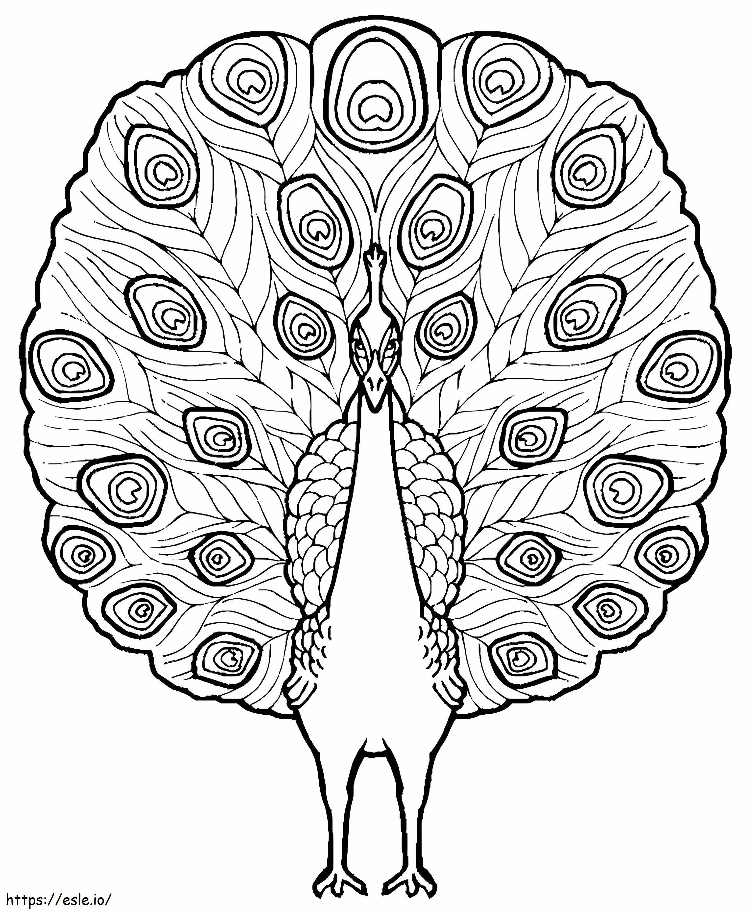 Peacock To Print coloring page