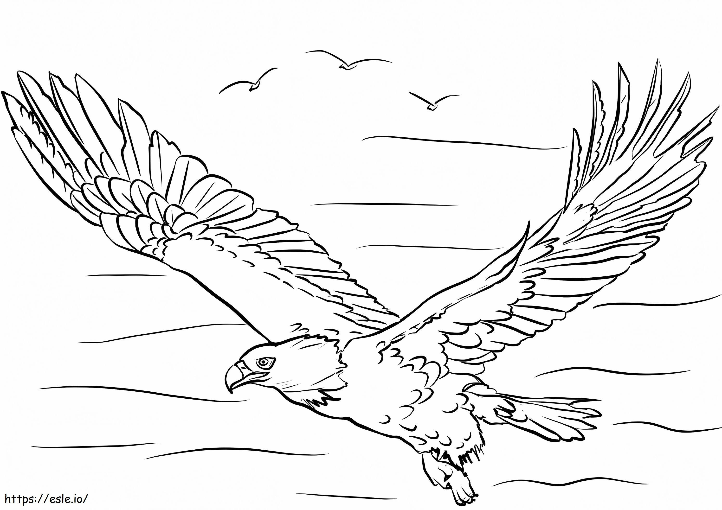 Vulturul care zboară de colorat