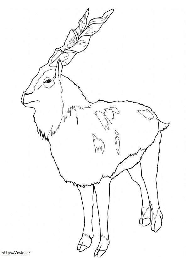 Normal Markhor coloring page