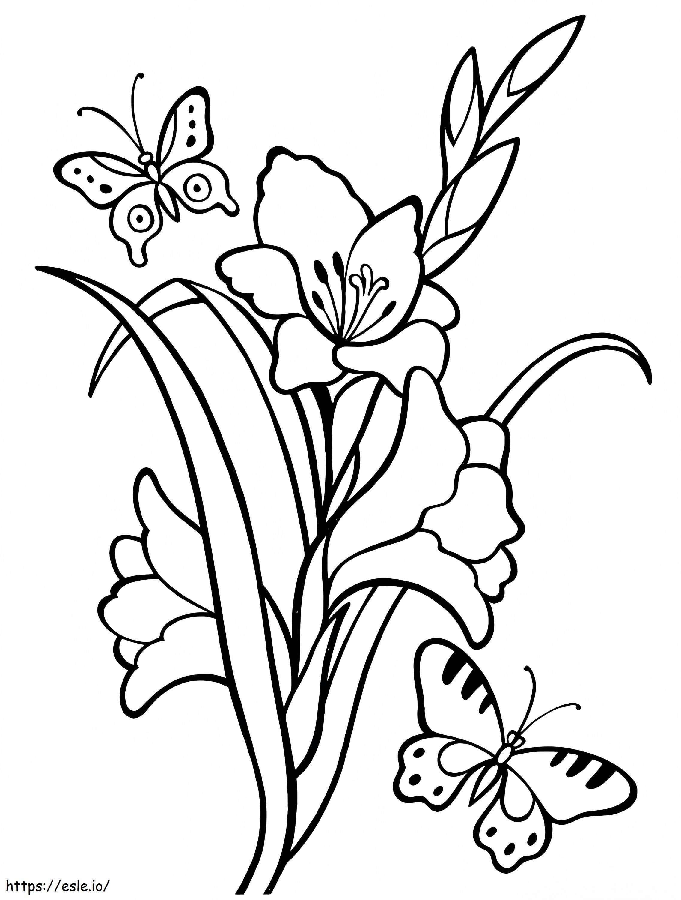 Flores de gladiolo 3 para colorear