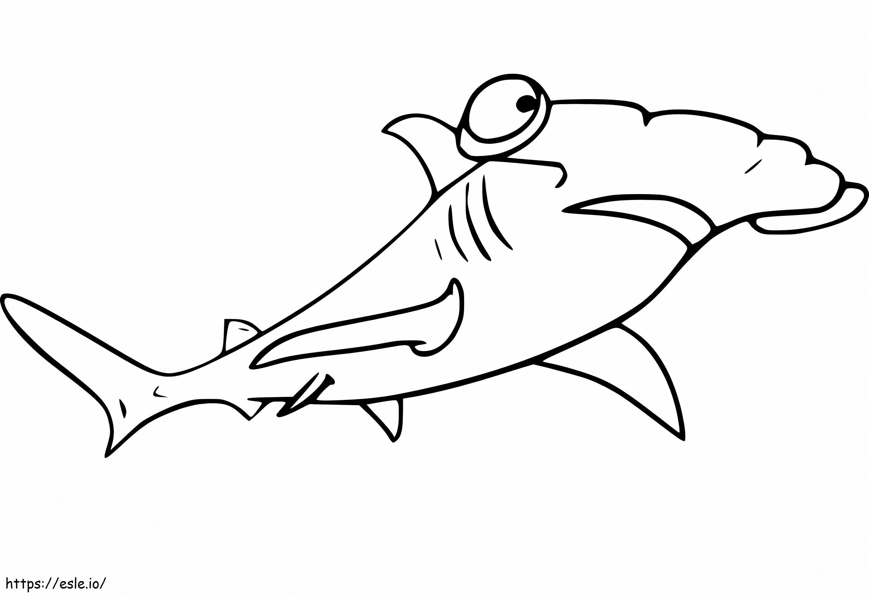Kalapácsfejű cápa 2 kifestő