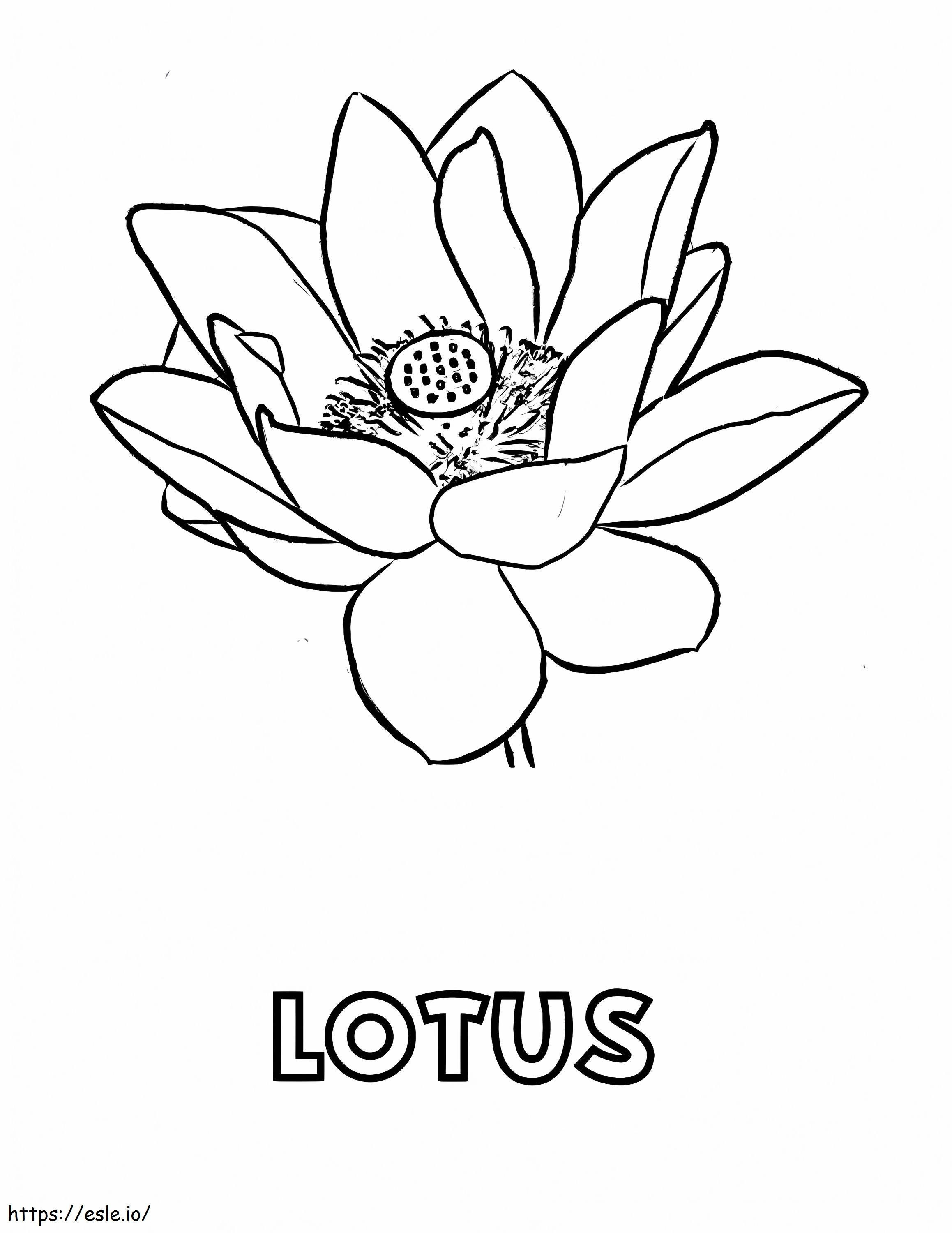 Flor de loto imprimible para colorear
