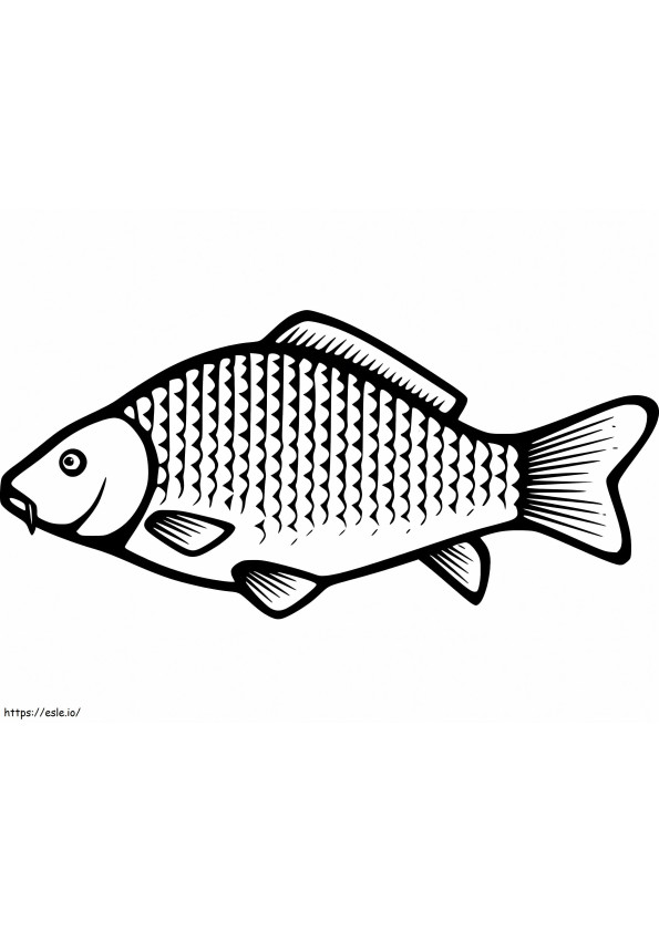 One Carp Fish coloring page