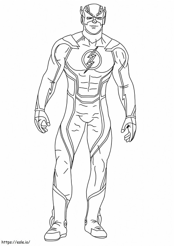 Flash 6