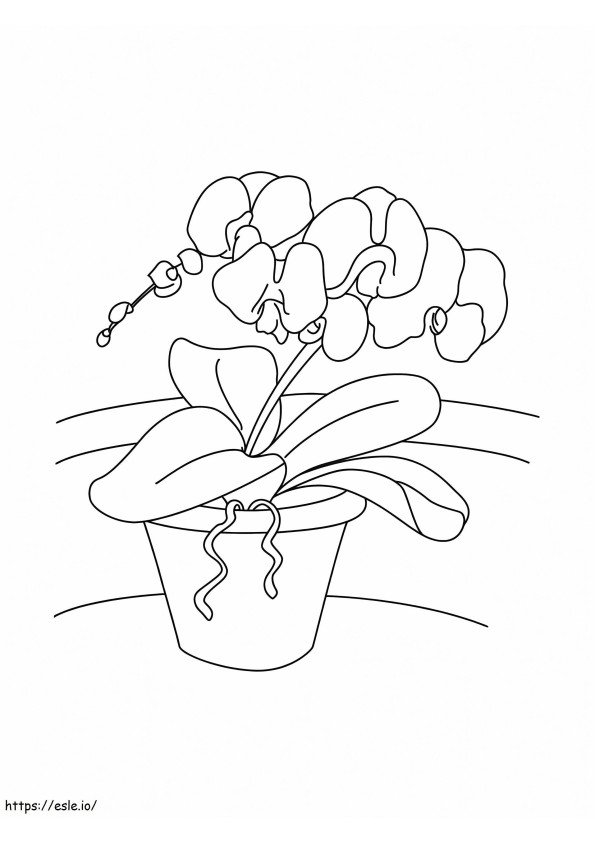 蘭の植木鉢 ぬりえ - 塗り絵