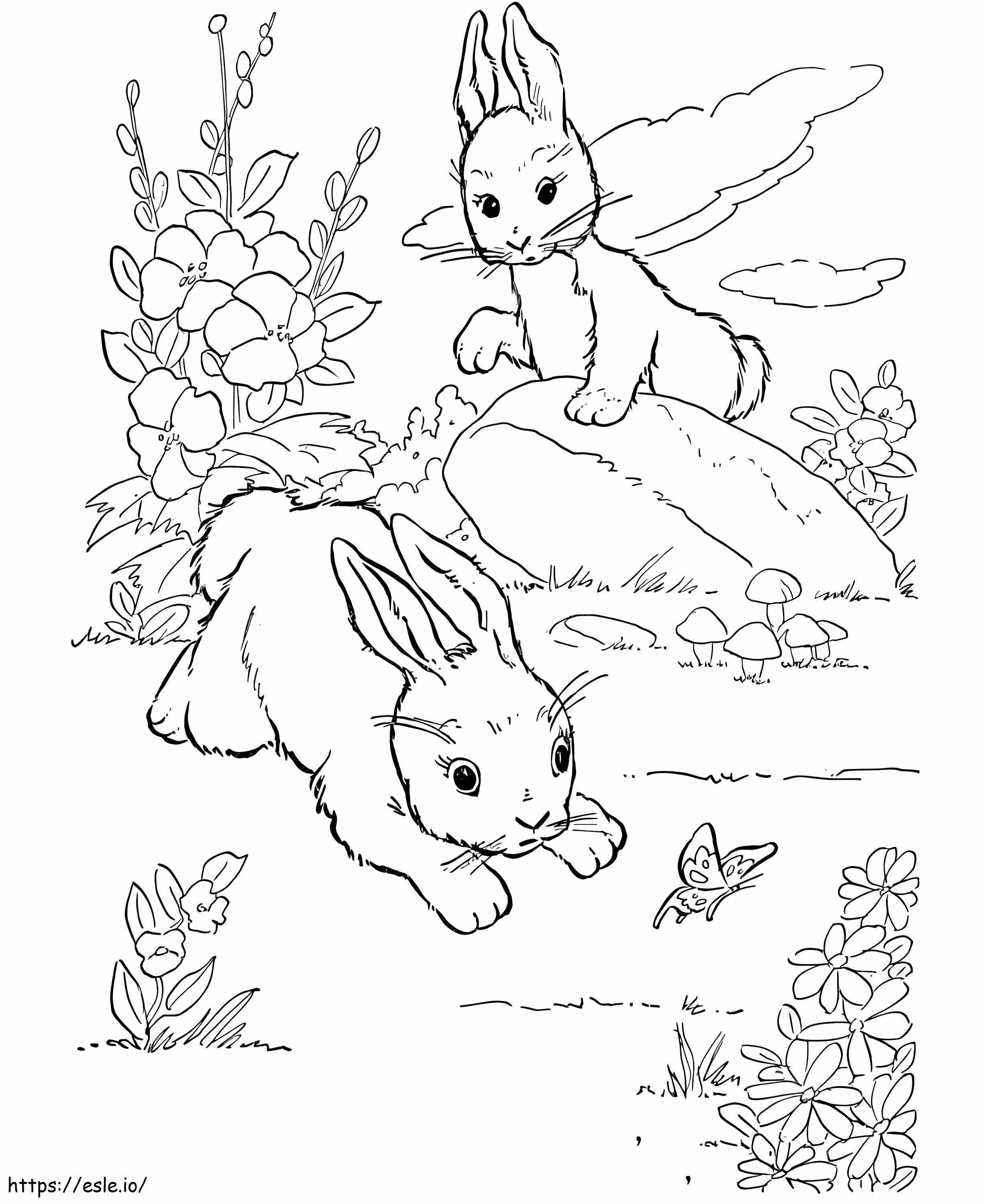 Dois coelhos no chão para colorir