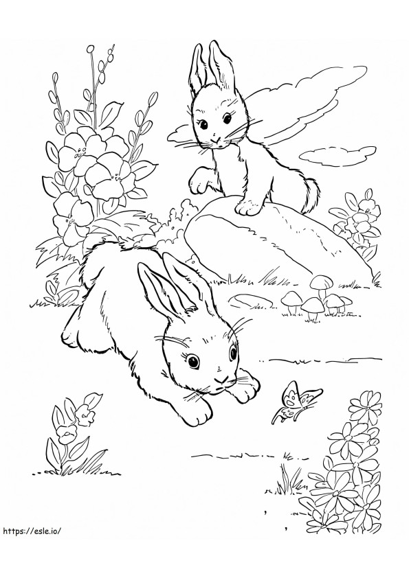 Dois coelhos no chão para colorir