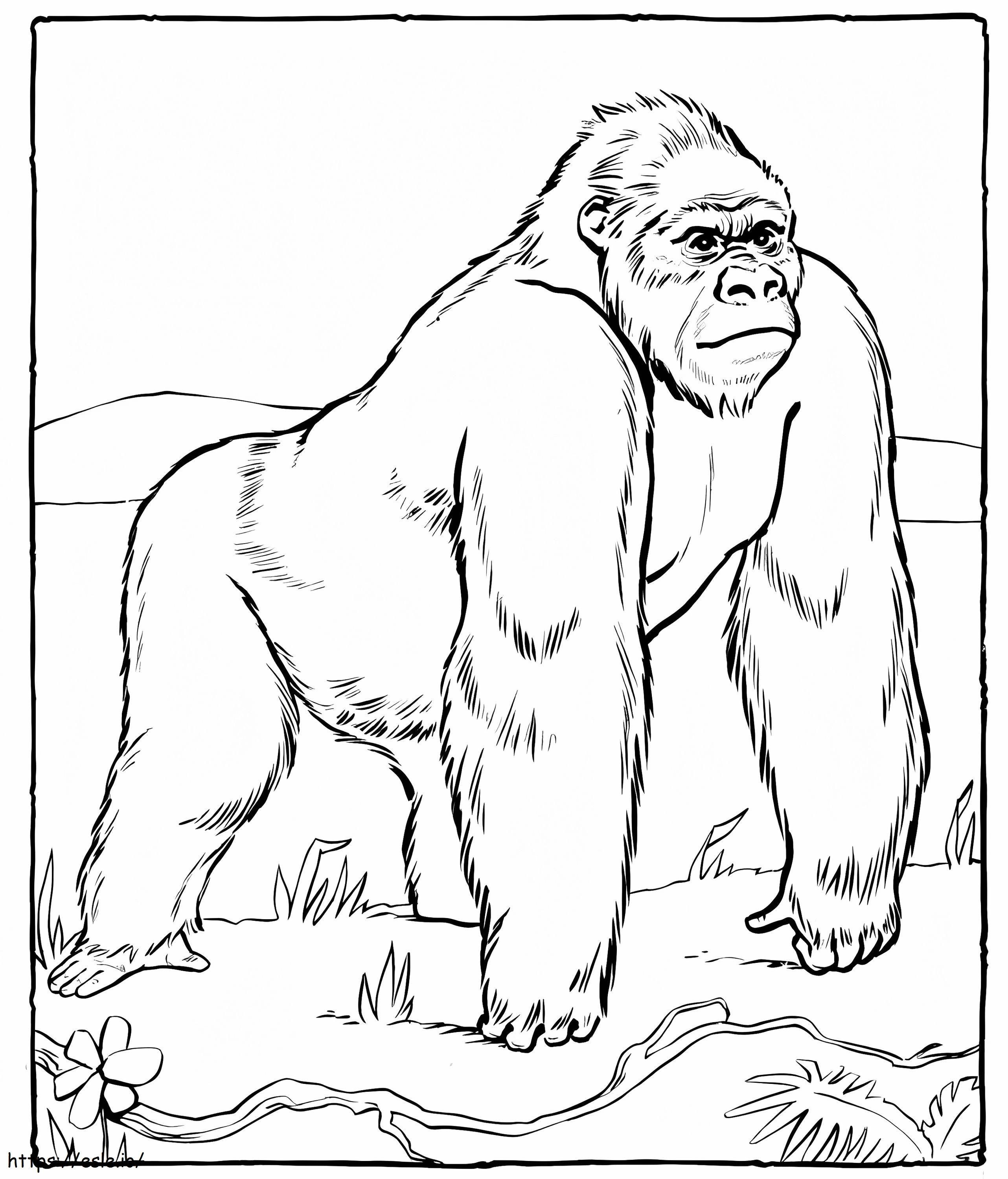 Coloriage Gorille au zoo à imprimer dessin