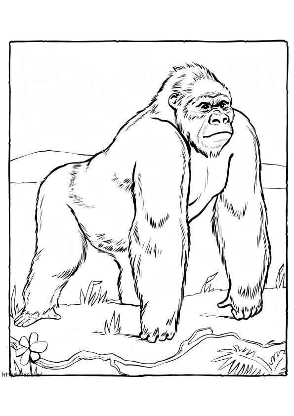 Coloriage Gorille au zoo à imprimer dessin