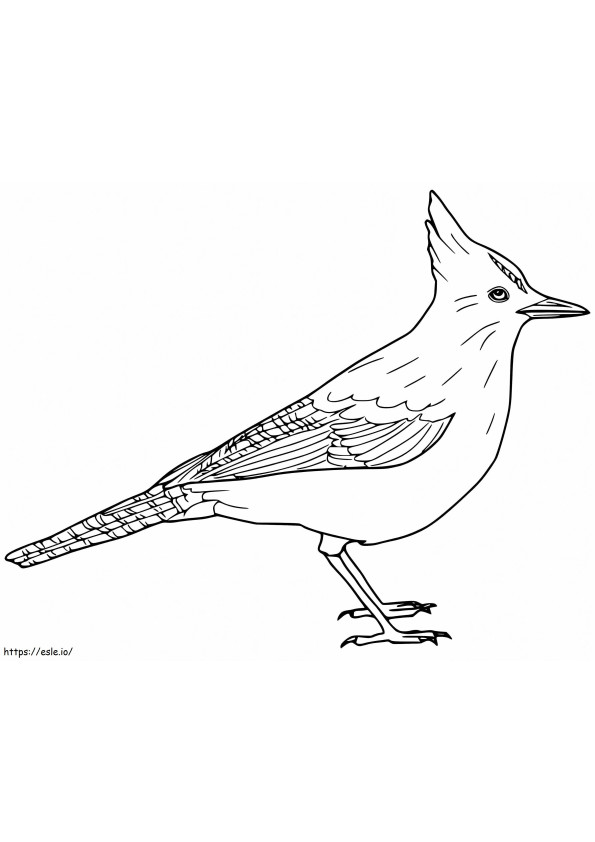 Blue Jay 5 coloring page