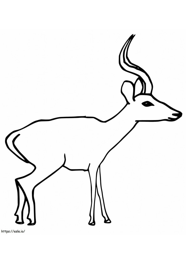 Antilope 4