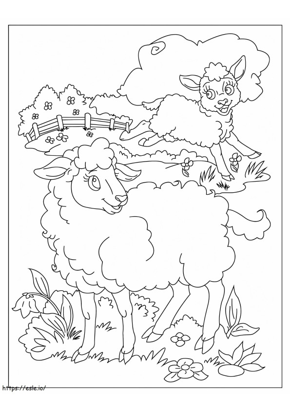 Coloriage Deux moutons drôles à imprimer dessin