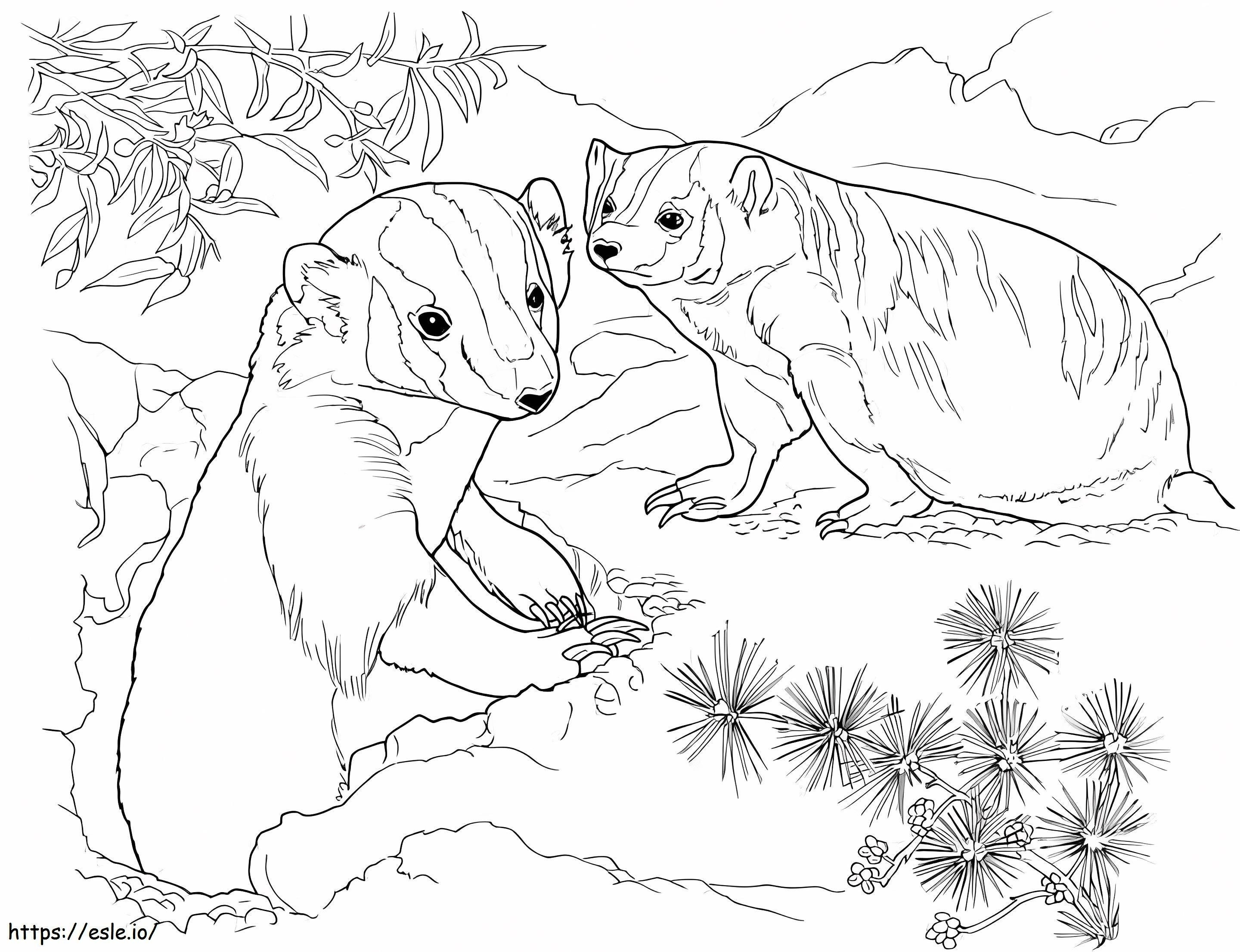 Coloriage Deux blaireaux dans la jungle à imprimer dessin