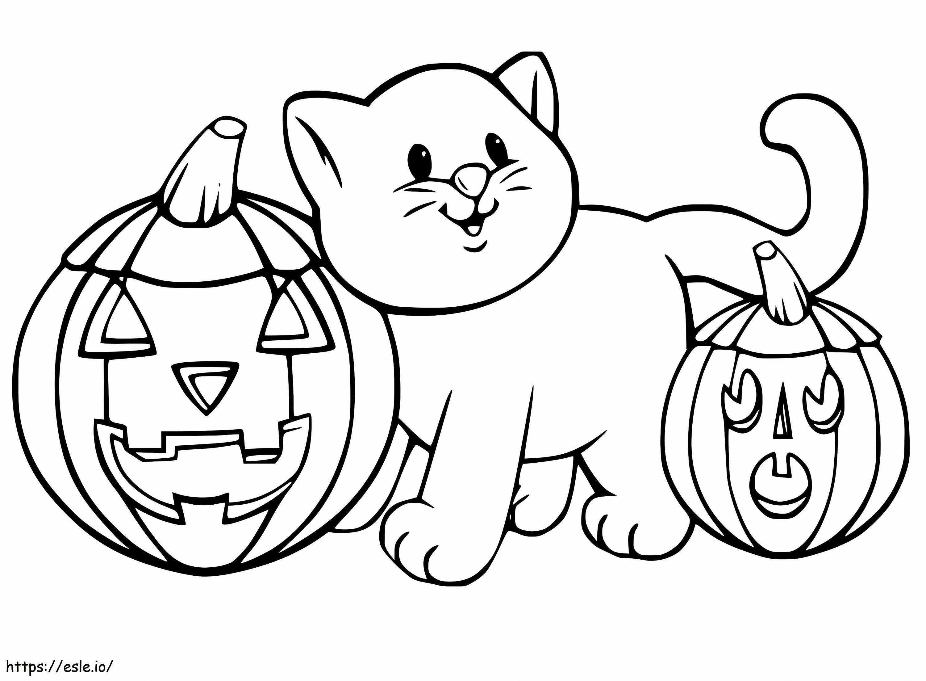 Coloriage Chat et citrouilles d'Halloween à imprimer dessin