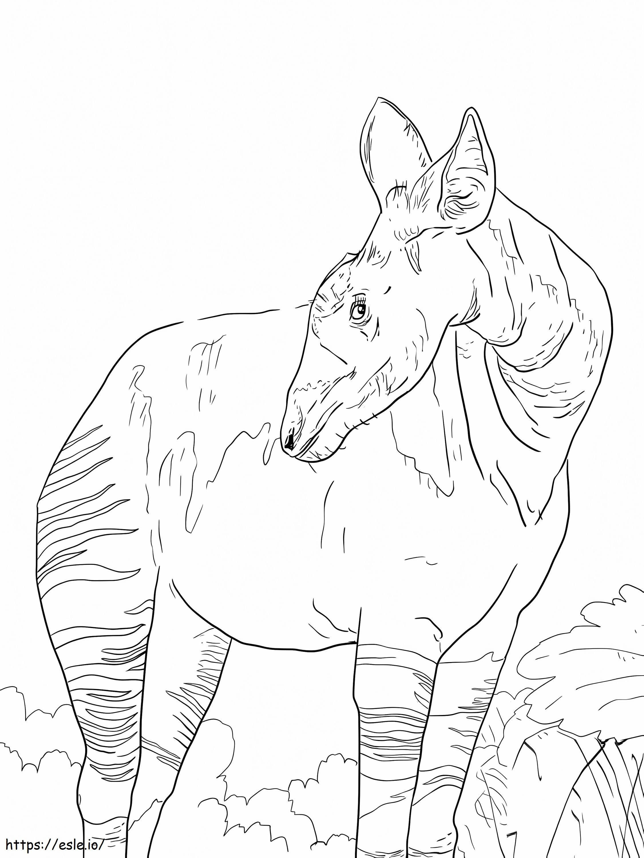 Okapi jirafa para colorear