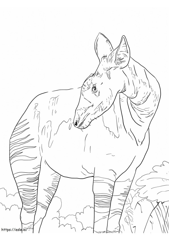 Okapi Giraffid coloring page