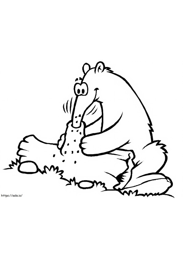 1528531686 Anteater2A4 E1600523519915