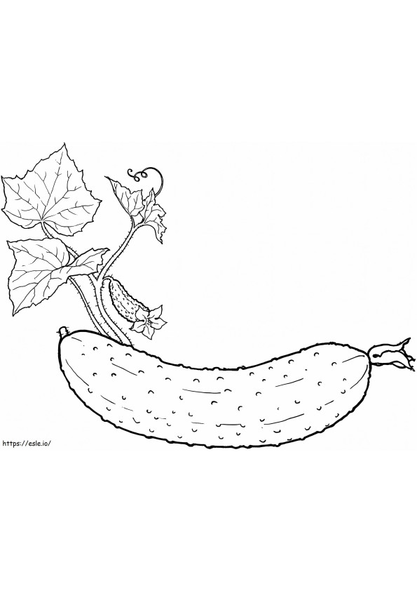 1560239909 Cucumber A4 coloring page