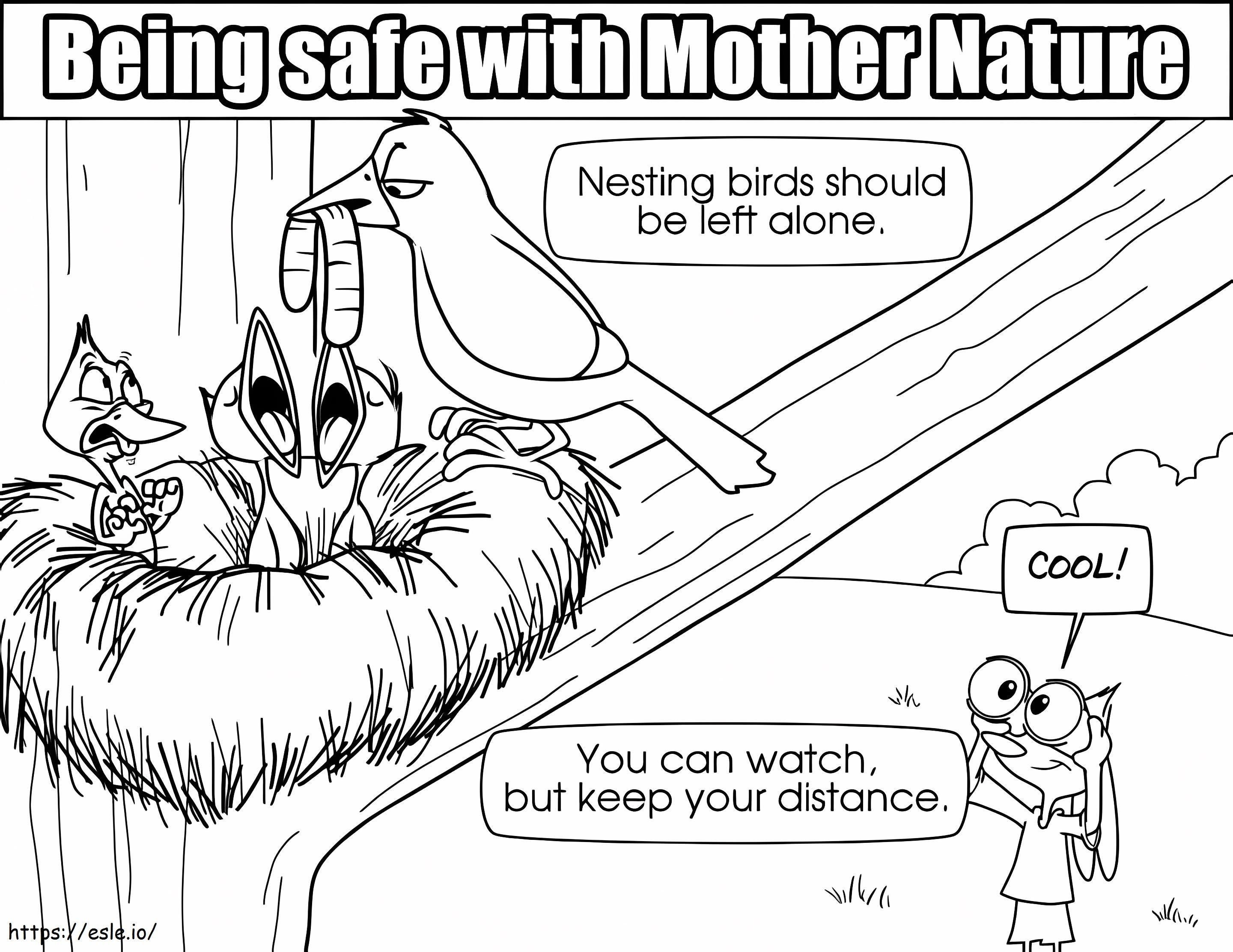 Bezpieczeństwo ptaków gniazdujących kolorowanka
