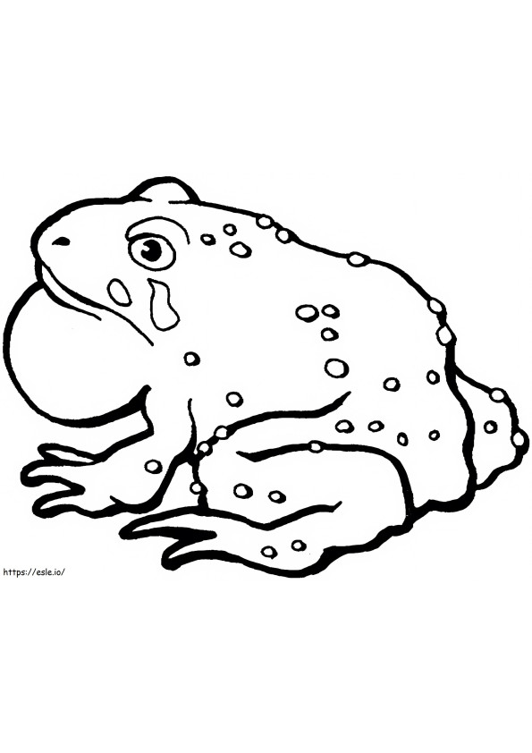 Big Toad coloring page