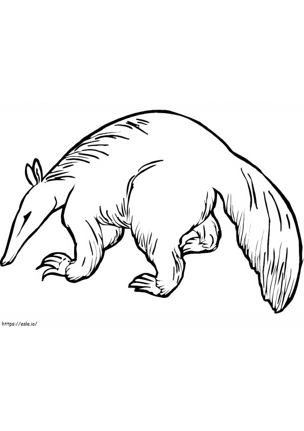 Wild Aardvark coloring page